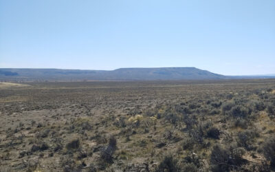 New Fork Valley Wyoming Uranium Project