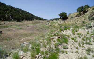 Pitchfork Outcrops Along Fault Zone